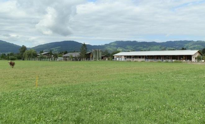 Вилла Steigmatt Bauernhof- Erlebnis Montlingen Экстерьер фото